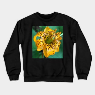 Teeny Orange Forest Lily Crewneck Sweatshirt